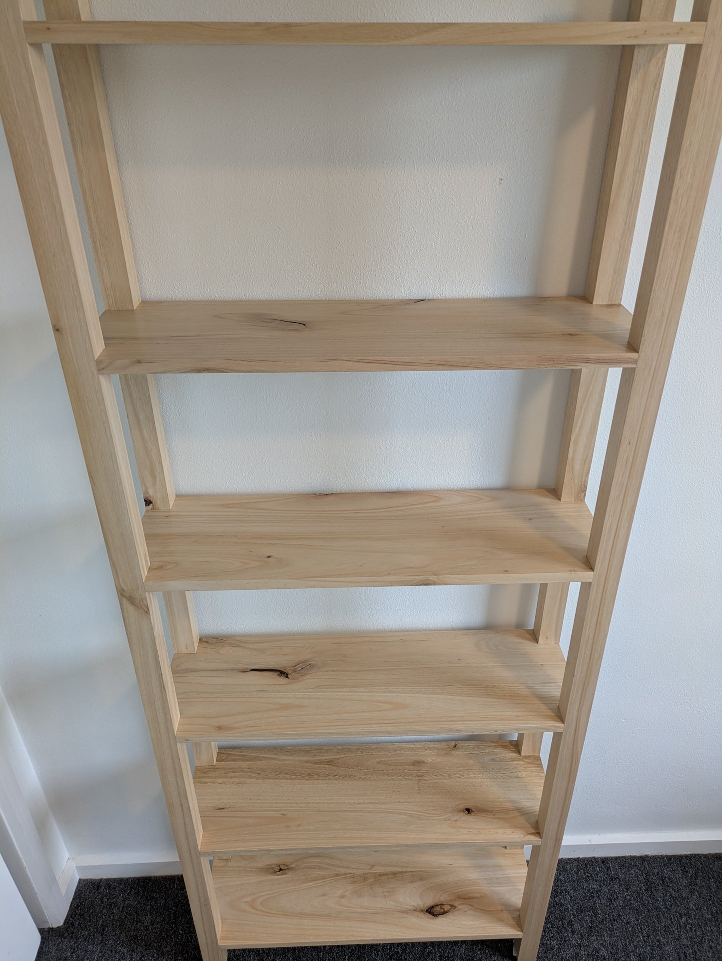 Shining Gum Bookshelf